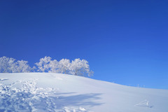 雪乡游记图片] 带着孩子去看东北，感受冰雪的童话世界，雪乡