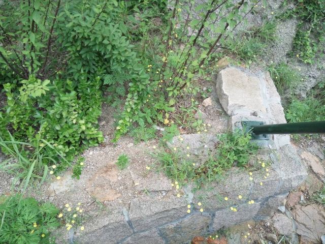 牛毛山公园旅行图片 1