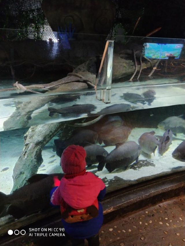 Changfeng Ocean World