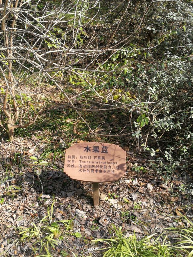 新江湾湿地生态观鸟拍鸟基地旅行图片 9