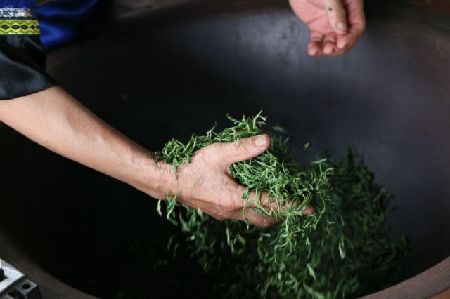 大明山万古茶园旅行图片 4