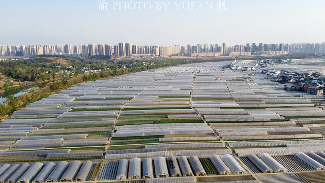 重庆最大的蔬菜基地，主城三分之一的菜来自这里，知道是哪里吗？
