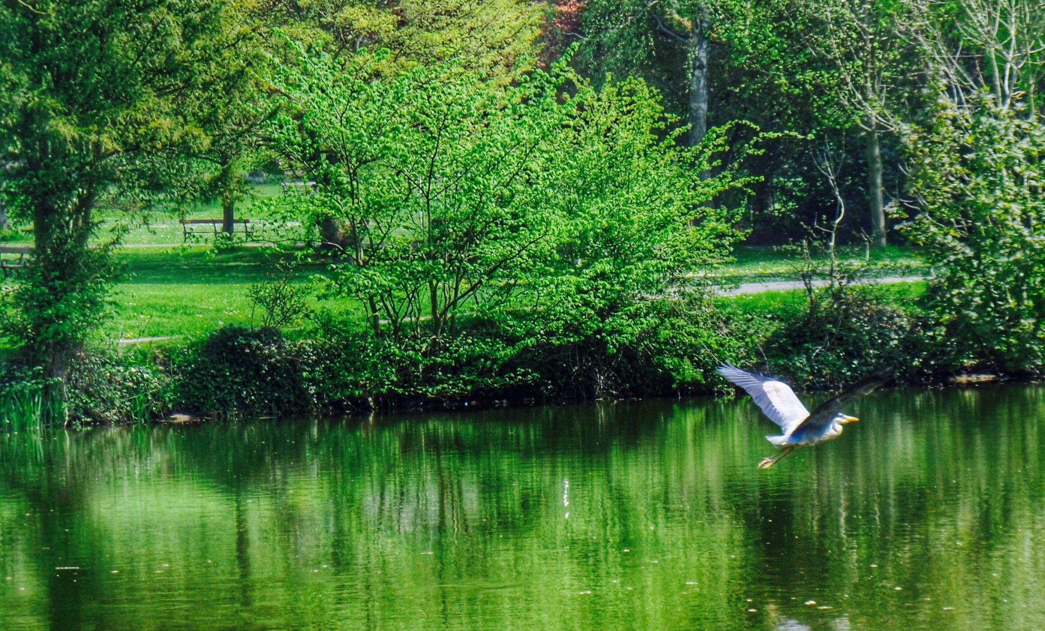 The Whitworth Terrace