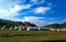 陇县曹师烤羊蒙古包餐厅图片