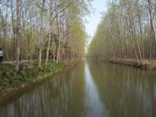 滨湖国家森林公园-合肥-jackrockwell