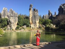 小石林景区-阿诗玛-石林-老生游记