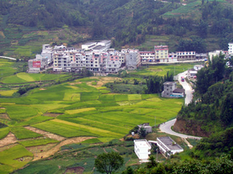 广西旅游：探秘巴马瑶族自治县长寿乡（图）