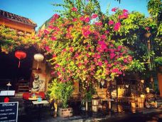 会安古城-会安-YoYo_2K5N5Y9T