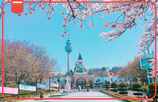 韩国大邱：充满浪漫气息的乐园 #大邱E-World