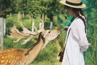 不负春光说走就走,踏青赏花周末两日游!