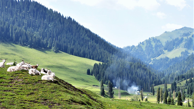 2019自驾新疆（二）百里画廊-唐布拉草原