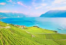 拉沃葡萄酒博物馆景点图片