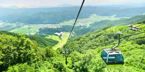 白馬五竜高山植物園