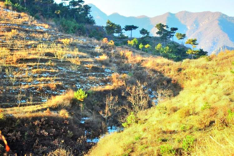 八仙山自然保护区