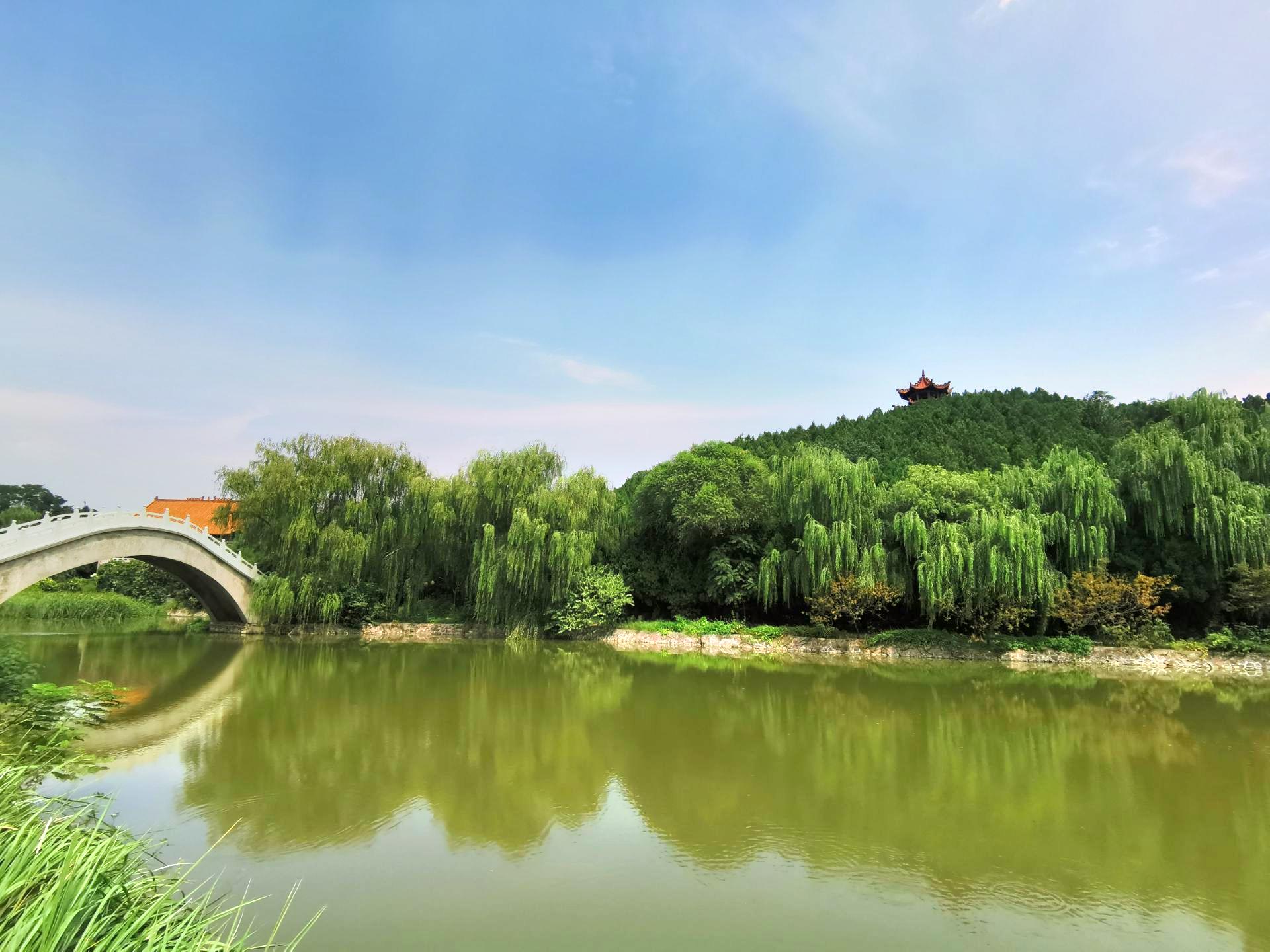 禹州森林植物园