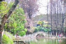 川沙公园-上海-doris圈圈