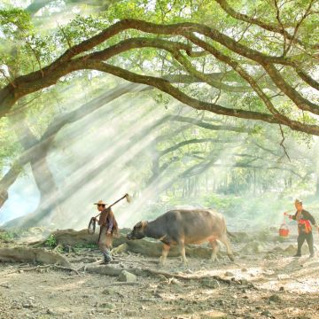 太姥山+东壁+杨家溪+北岐滩涂5日4晚私家团