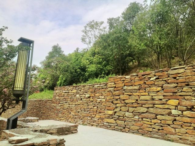 清凉山森林公园旅行图片 8