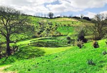 Fast Rabbit Farm Gardens景点图片