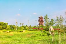 皇山东夷文化园-临沂-doris圈圈