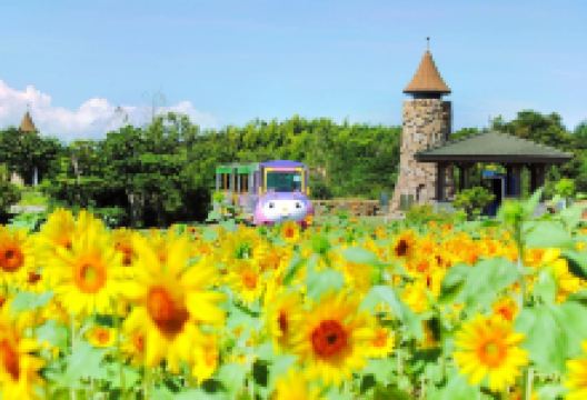 淡路农场英格兰之丘景点图片