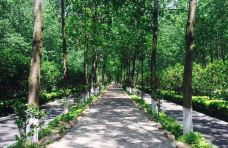 滨湖国家森林公园-合肥-惊奇队长1