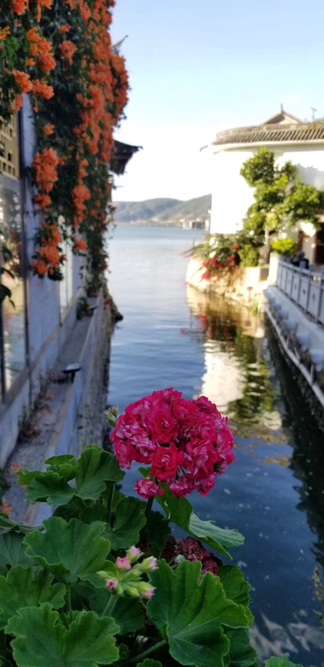 玉玑岛