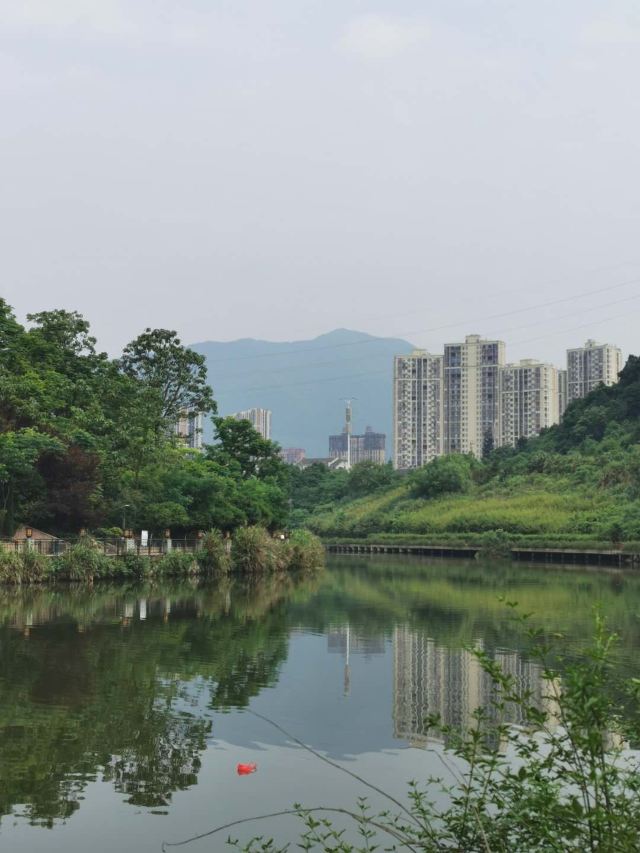 王仙湖旅行图片 4