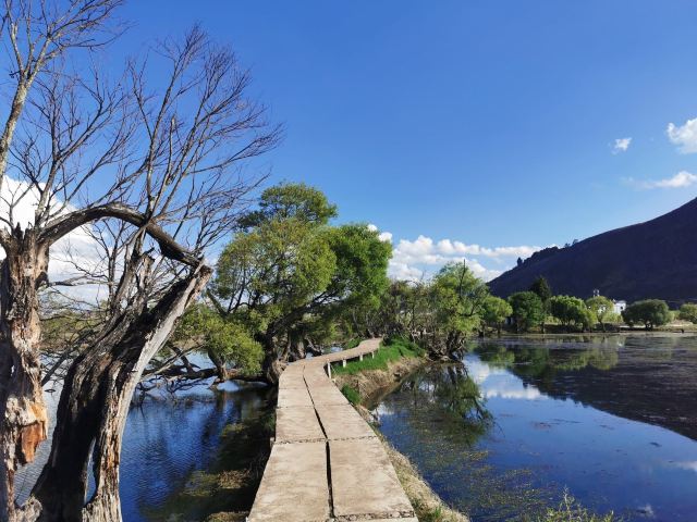 黄龙潭公园旅行图片 3