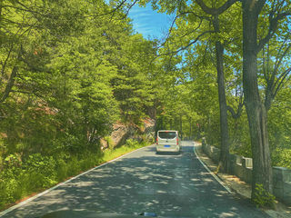 夏日避暑胜地|华东最后一片原始森林安徽天堂寨,江浙沪自驾推荐地