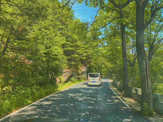 夏日避暑胜地|华东最后一片原始森林安徽天堂寨,江浙沪自驾推荐地