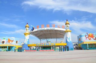 亲密接触海洋动物 来一次心灵的治愈