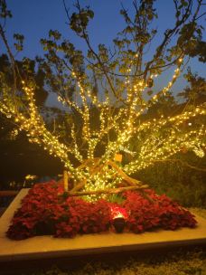 南大港湿地-黄骅-YoYo_9Q7S8G1E