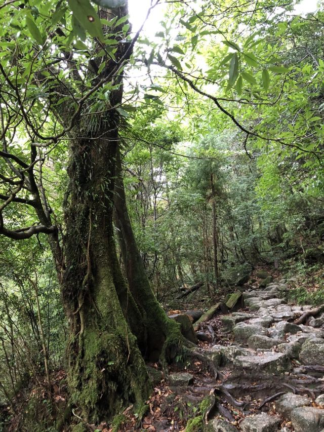 白谷雲水峽