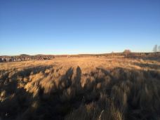 乌兰布统草原-克什克腾旗-说走咱就走啊-