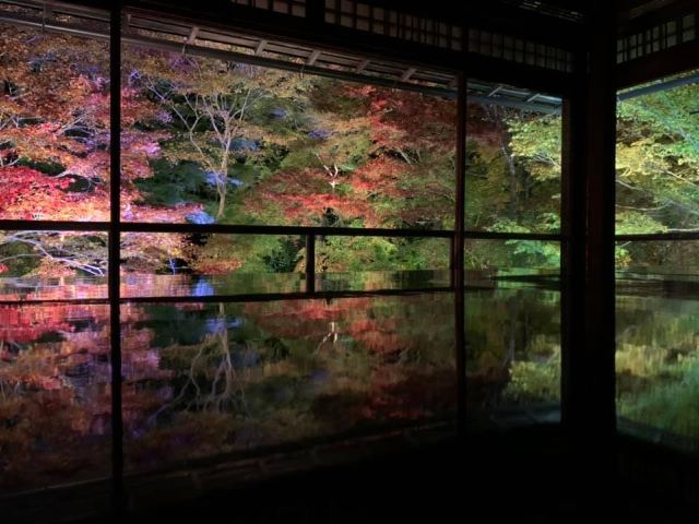 瑠璃光院景點 京都旅遊評論 旅行指南 Trip Com