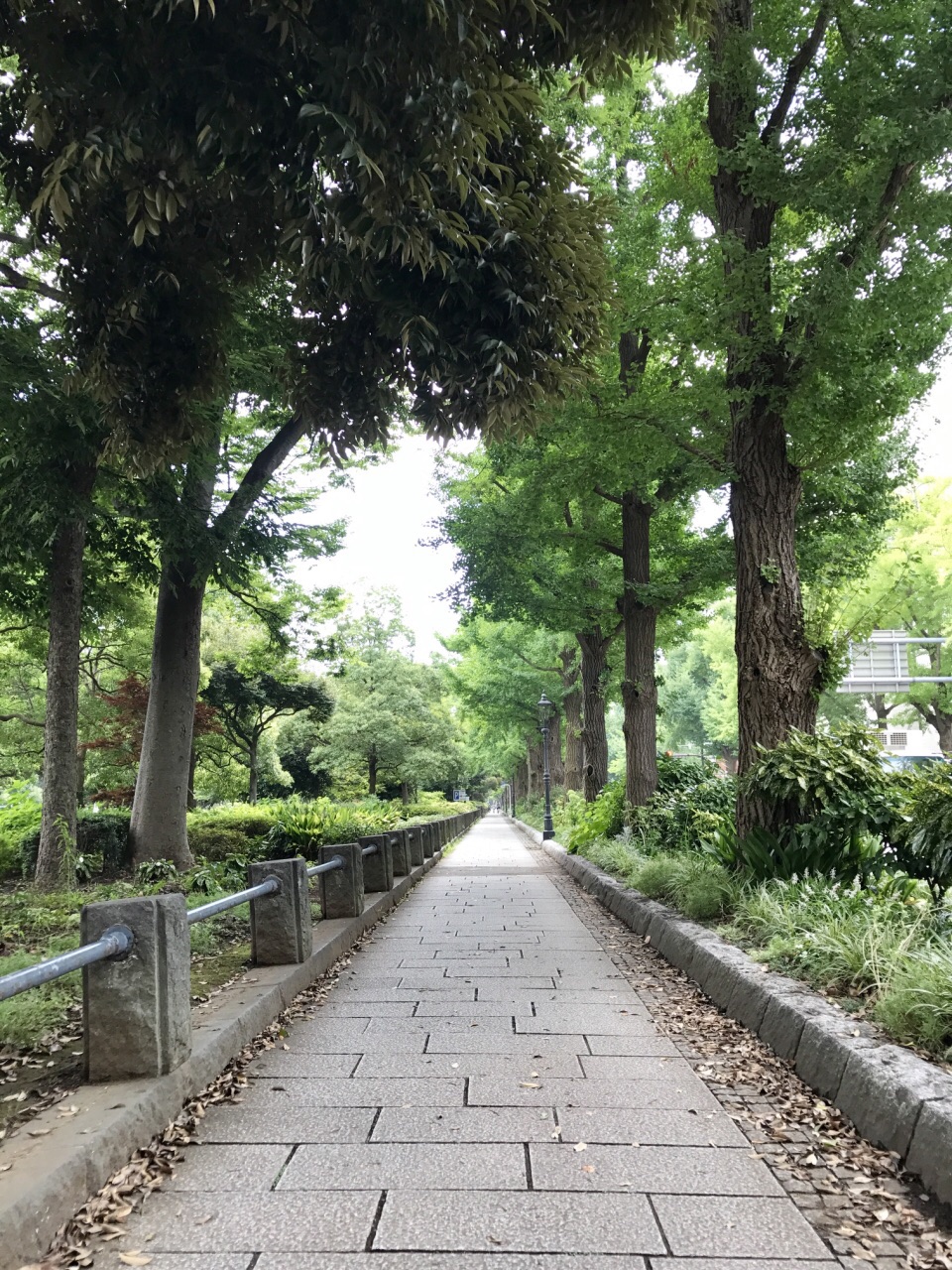 横滨山手公园
