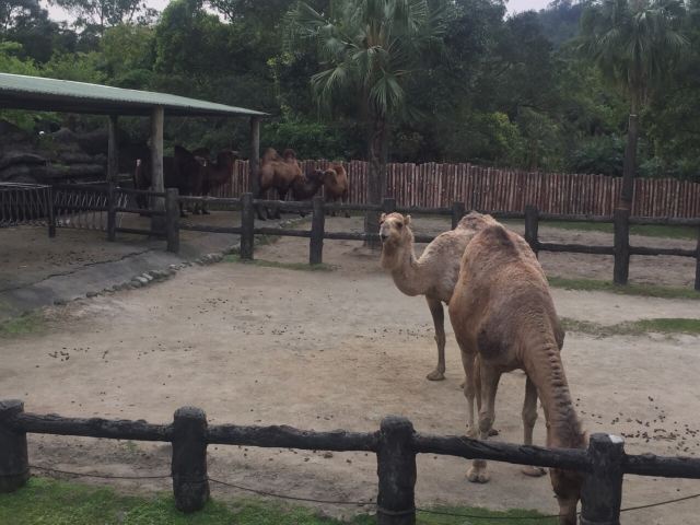 Taipei Zoo