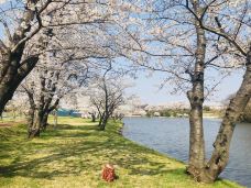 勢至公園-仁贺保市-YoYo_1S9K1J3J