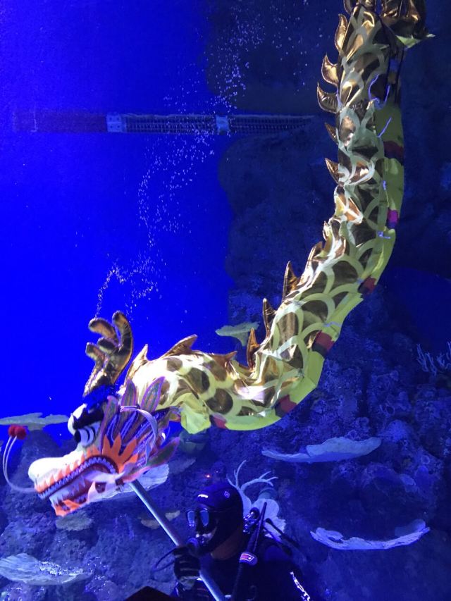 Cairns Aquarium