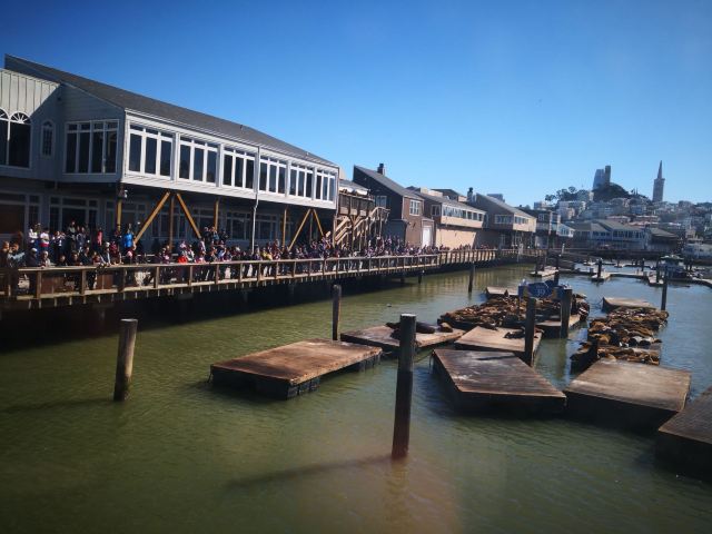 Fisherman's Wharf