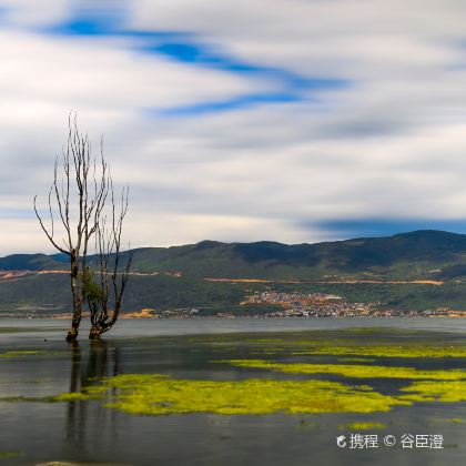 云南昆明+大理白族自治州+丽江+香格里拉+玉龙雪山+滇池+石林+苍山+洱海+梅里雪山+观音峡18日17晚私家团