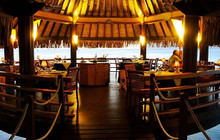 The Lotus Restaurant餐厅图片