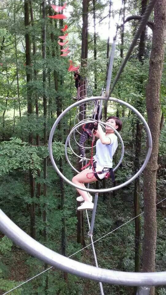 Daqishan Crazy Forest Theme Park