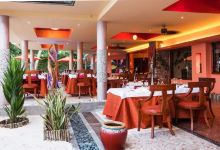 Cafe des Arts美食图片