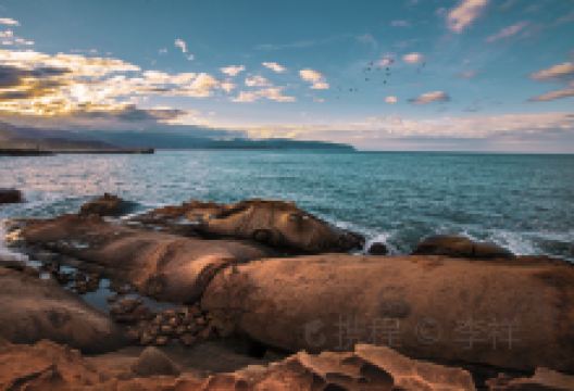 野柳地质公园景点图片