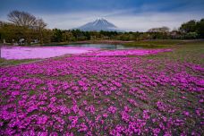 富士山-富士宫市-doris圈圈