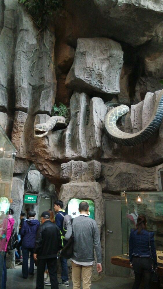 Shanghai Science and Technology Museum