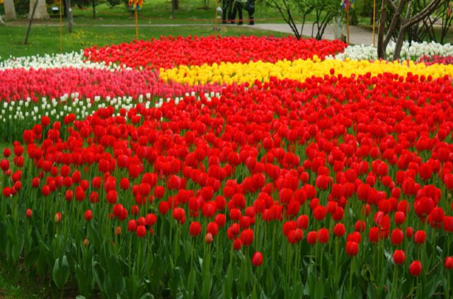 People's Park