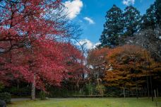 岚山-京都-doris圈圈